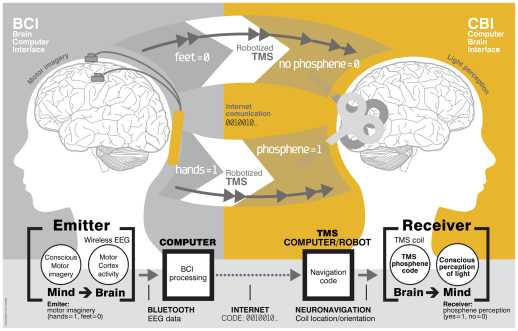 An example of BCI and CBI being integrated to form a BTBI (brain-to-brain interface, yay acronyms!) between human brains. (Grau et al 2014)